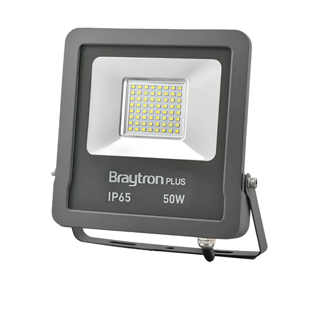 LED REFLEKTOR 50W SIVI ZELENI IP65