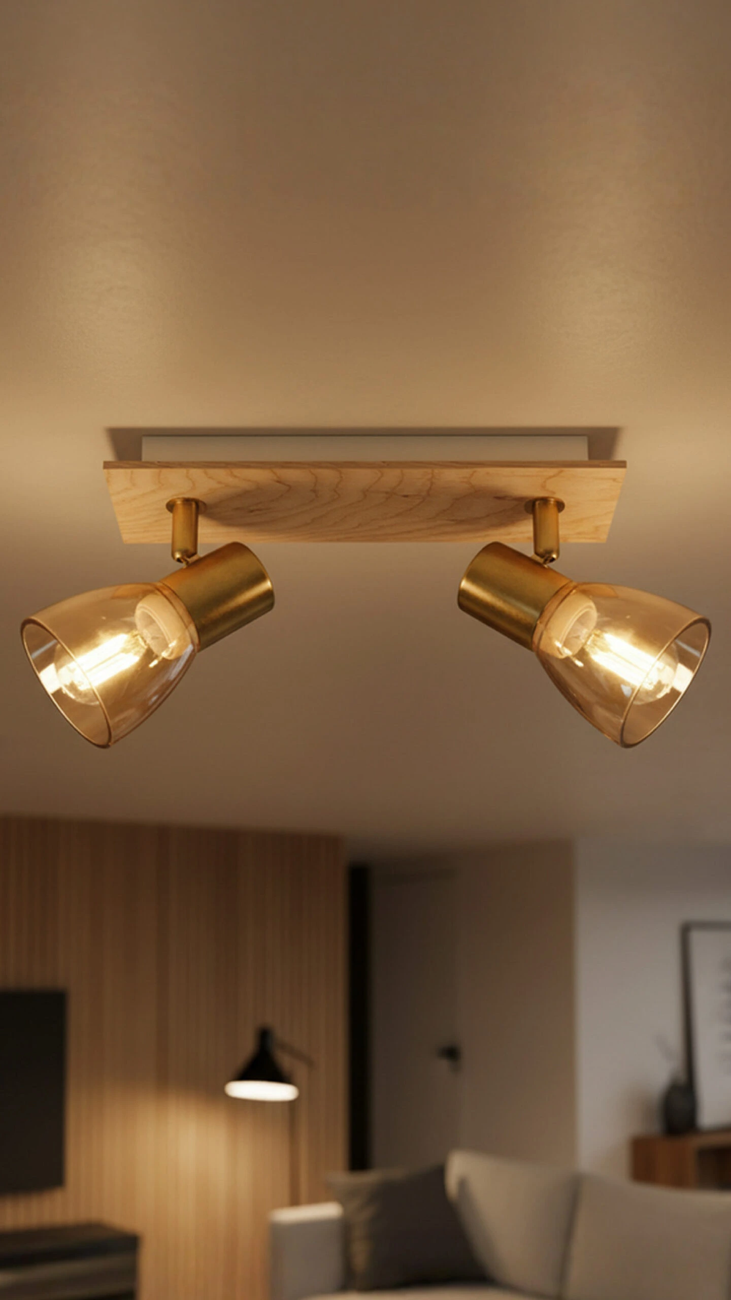 Spot lampa FE406-2 SG+WD — slika 2