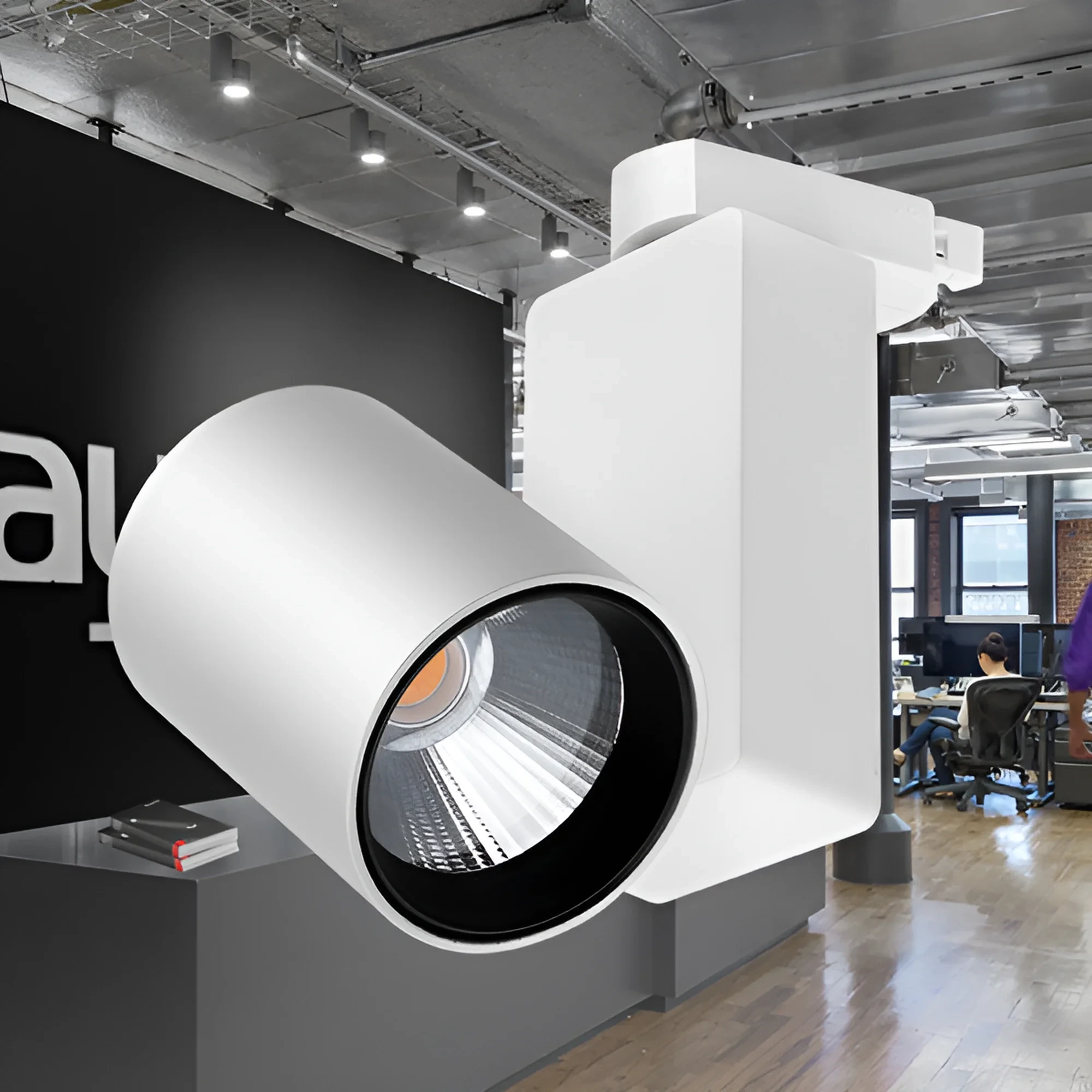 LED SINSKI REFLEKTOR 30W BELI 4000K MONOFAZNI — slika 2