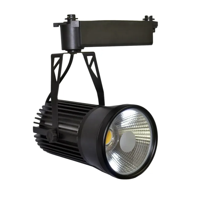 Šinski LED reflektor TL04-30 BK
