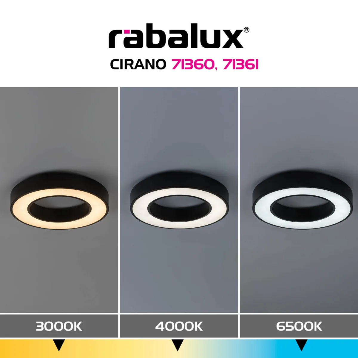 Cirano — slika 6