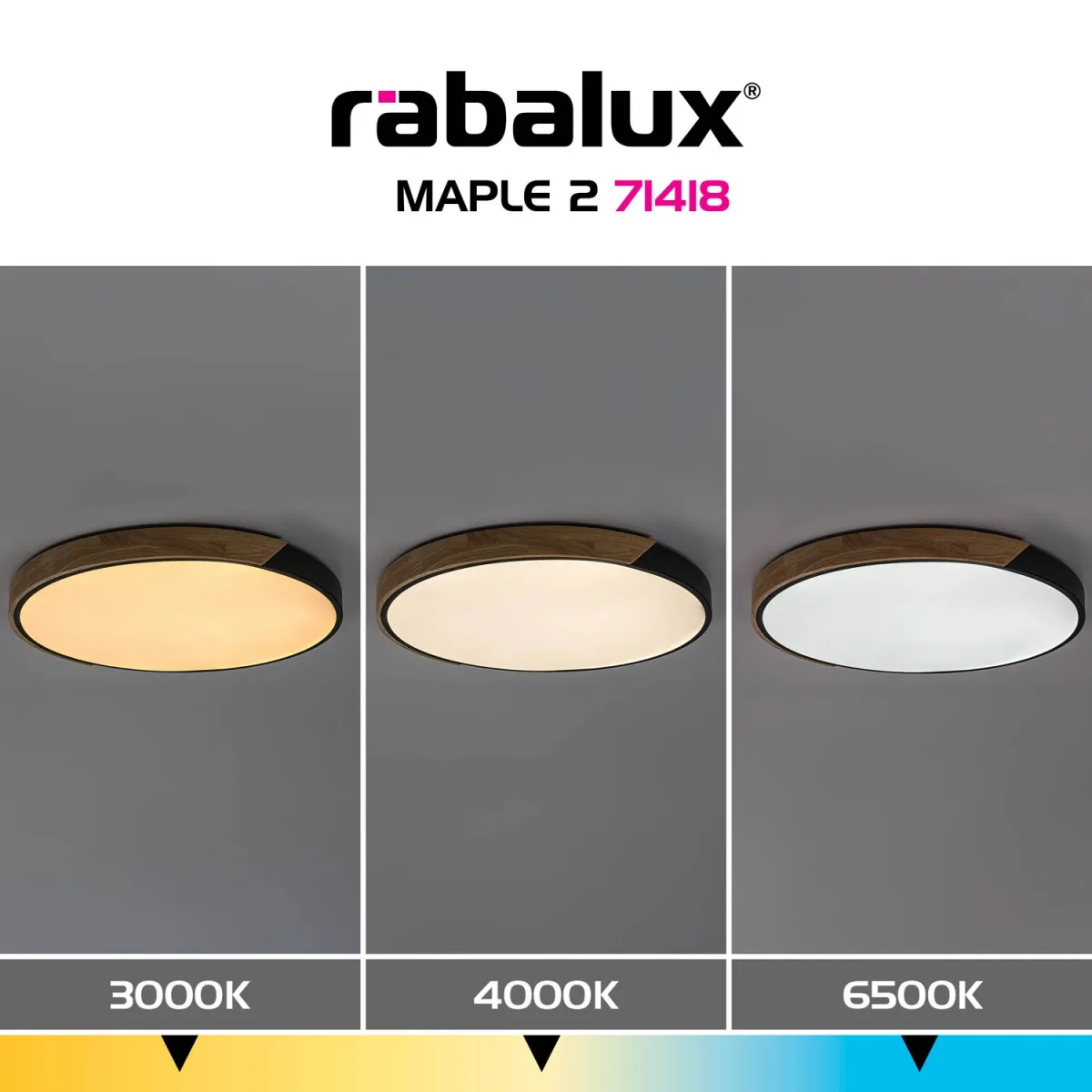 Maple2 — slika 6