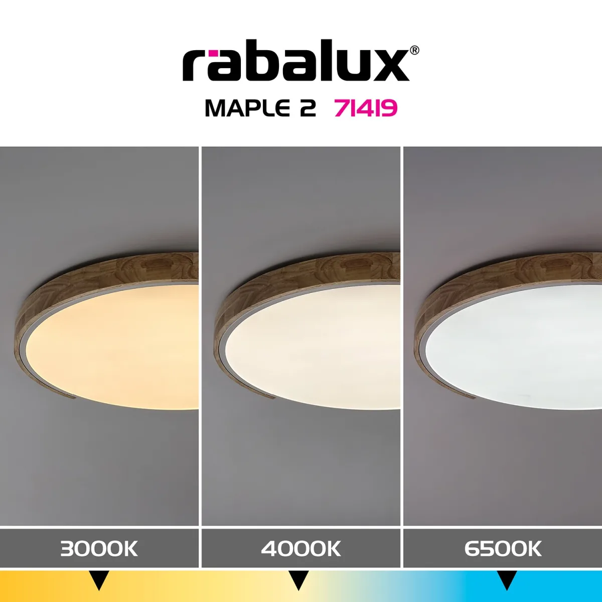 Maple2 — slika 8