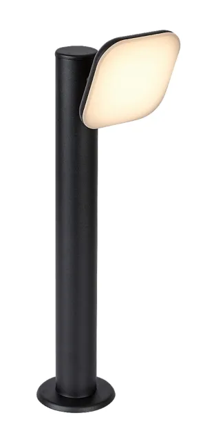Odiel