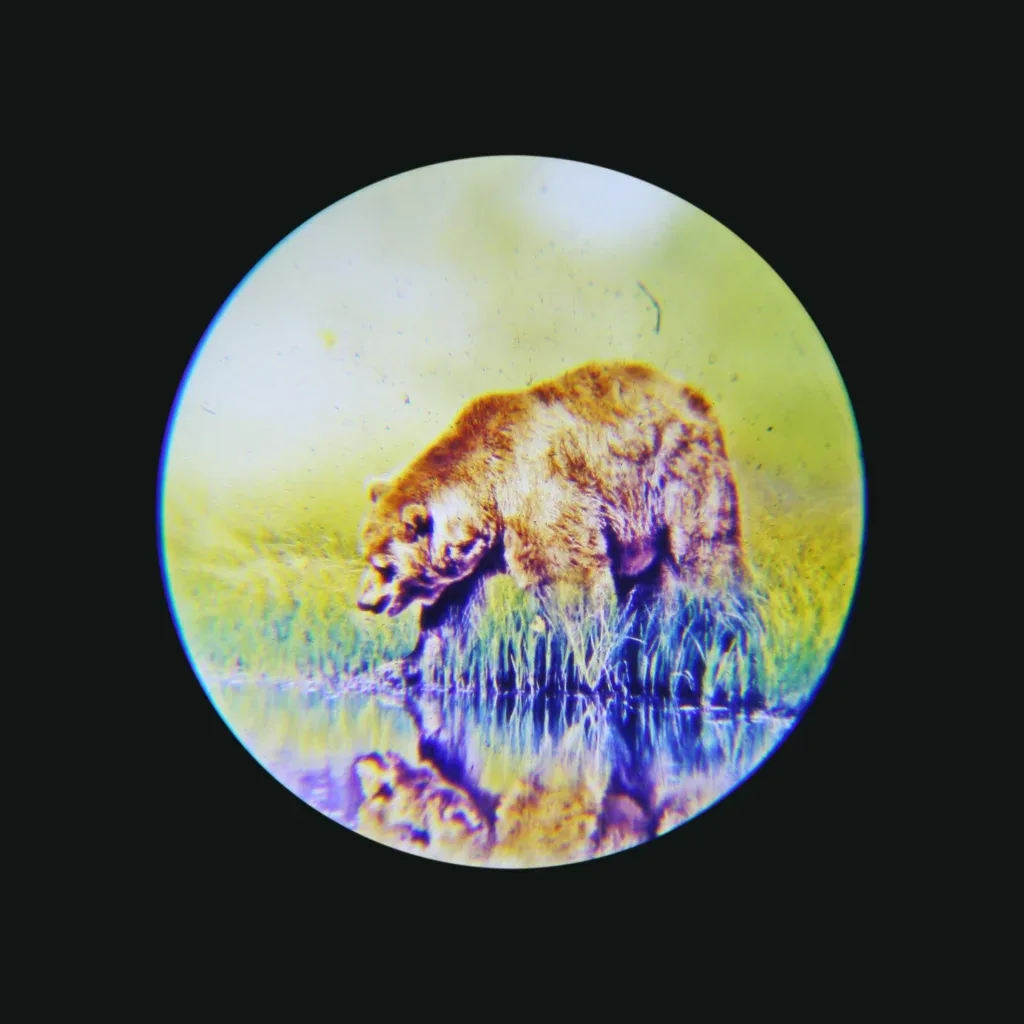 COSMO — slika 17