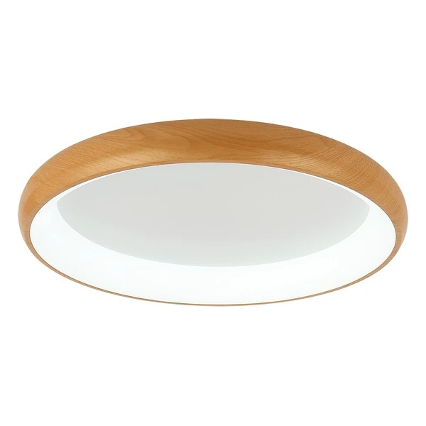 LED plafonska lampa F2081-86C WD — slika 3