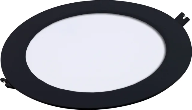 Shaun2