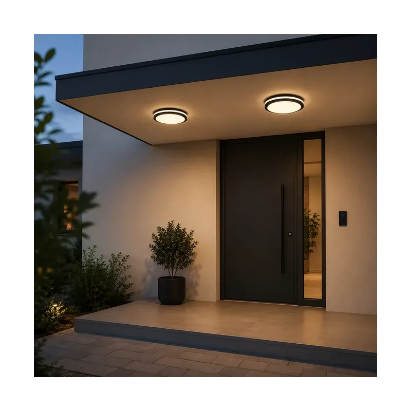 LED PLAFONJERA MONA-300-30W 3000/4000/6500K IP65 CRNA — slika 2