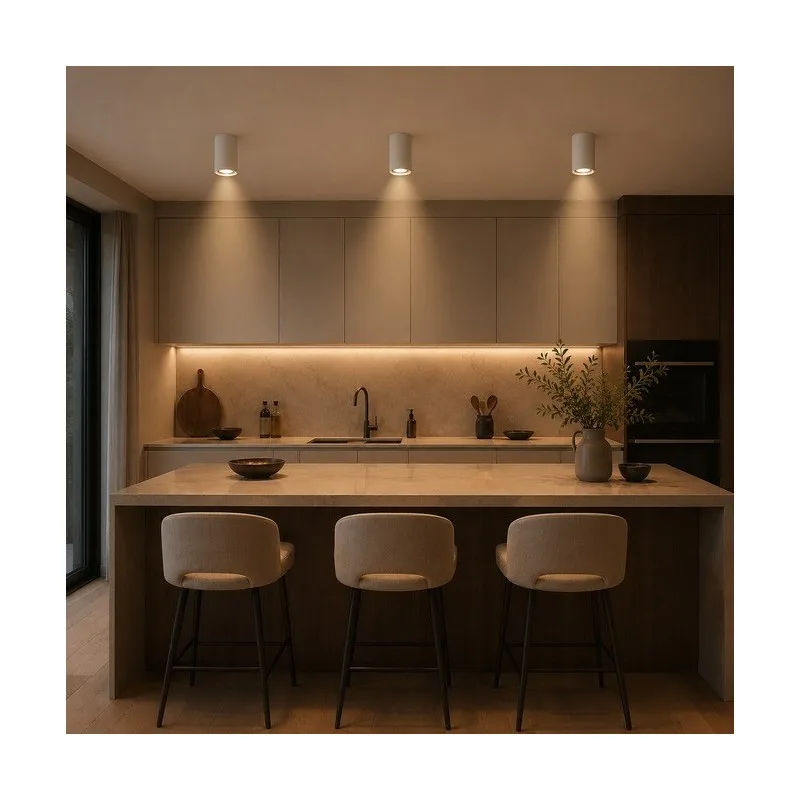TALIA 98 SPOT LAMPA 1*GU10 BELA — slika 2