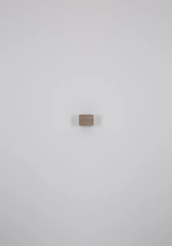 ALINA — slika 8