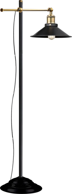 LENIUS
