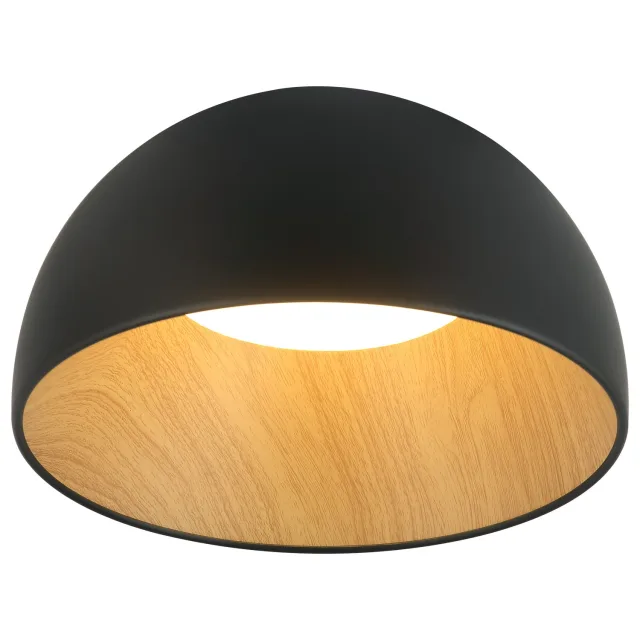 LED plafonjera FK2001-36P BK