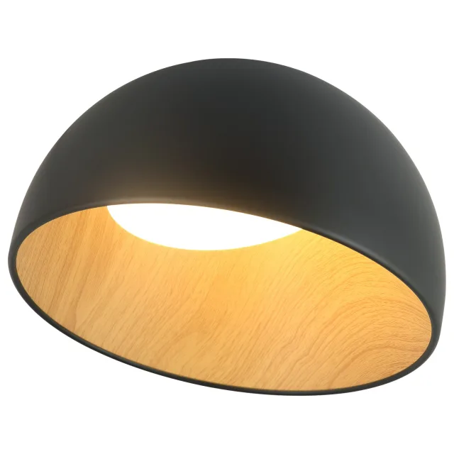 LED plafonska lampa FK2001-24C BK