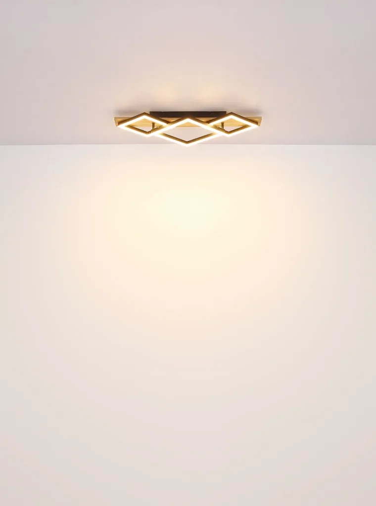 BEATRIX I — slika 6