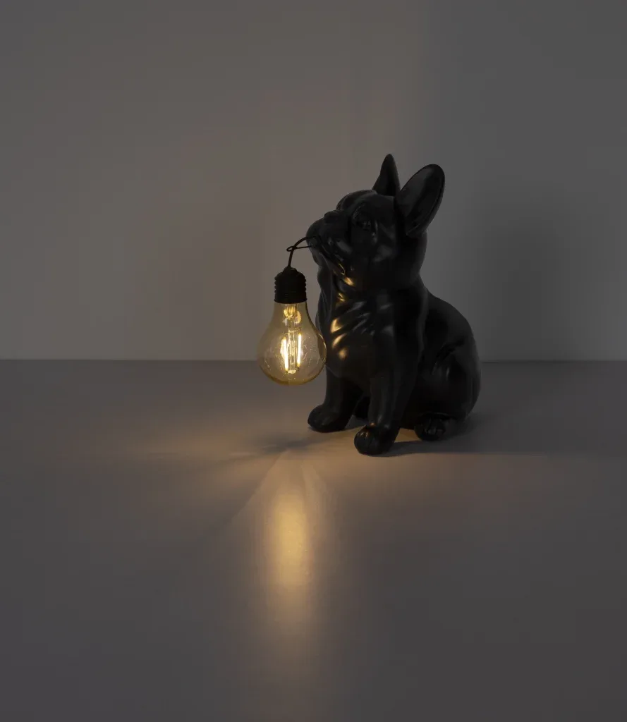 SOLARLEUCHTE KUNSTSTOFF SCHWARZ MATT, 1XLED — slika 6