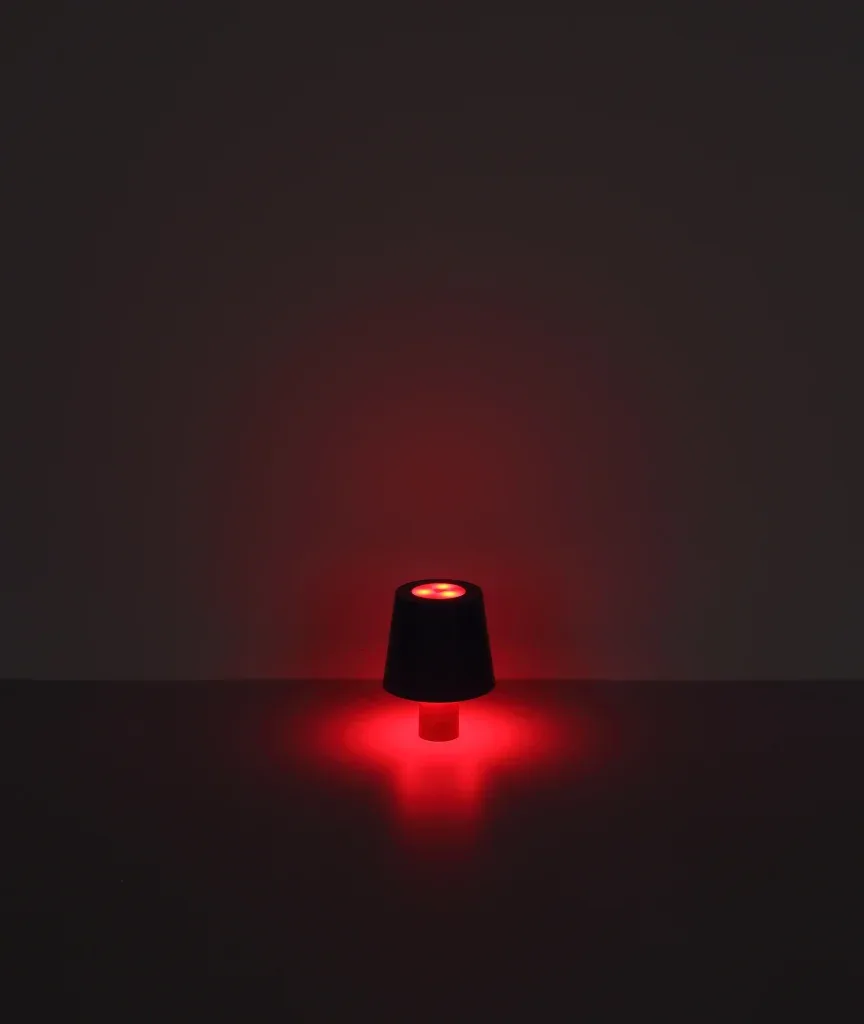 YARA — slika 10
