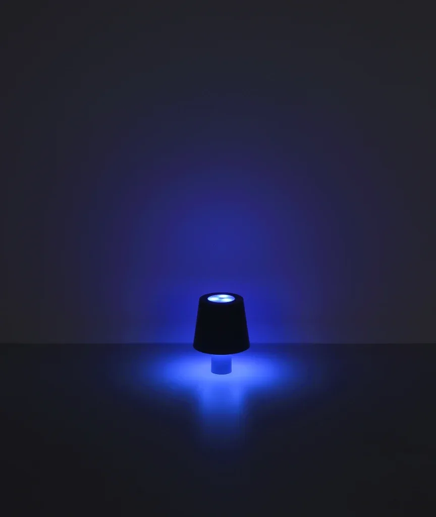 YARA — slika 12