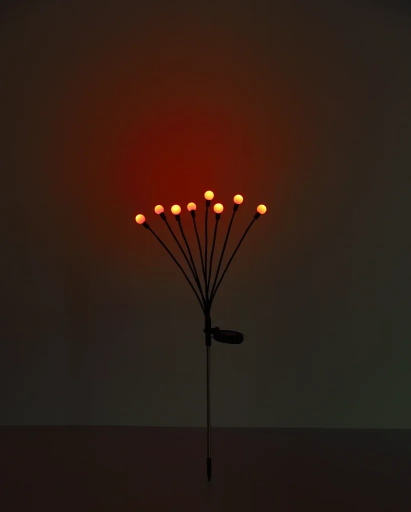 SOLAR — slika 6