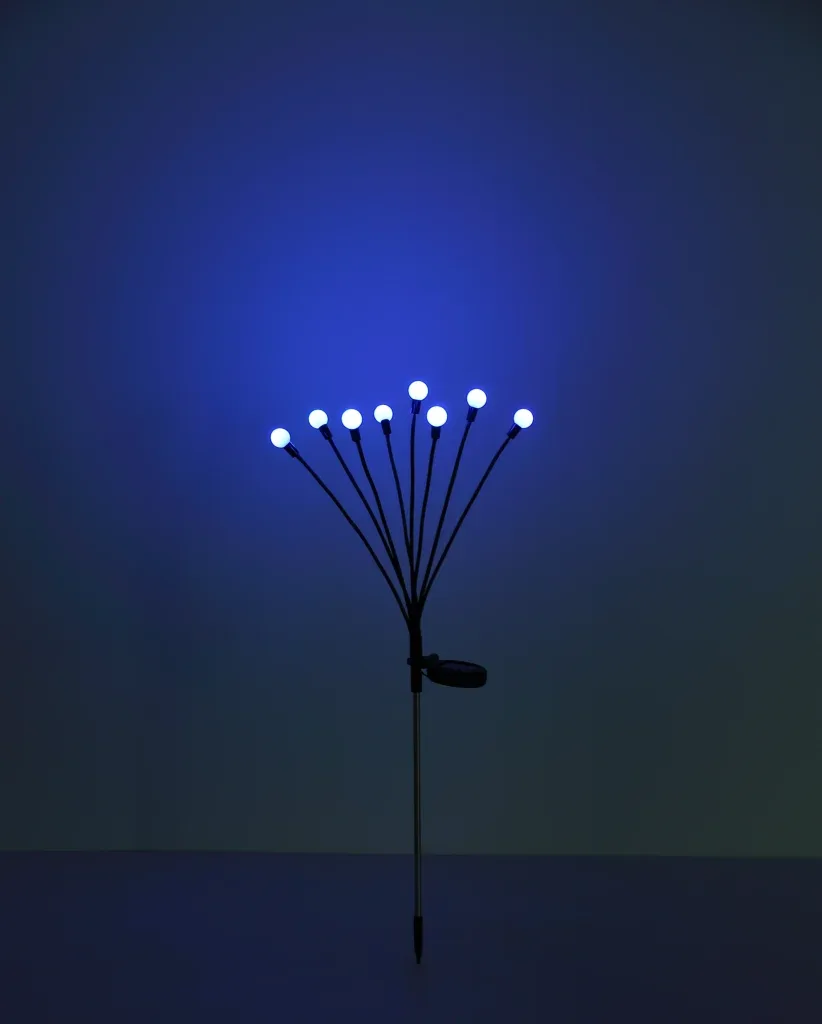 SOLAR — slika 8