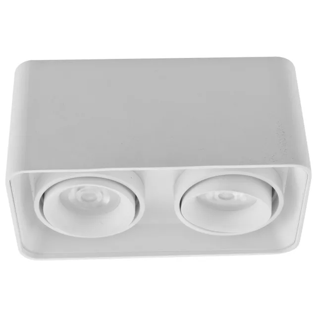 Plafonska lampa AFS108-2C WH