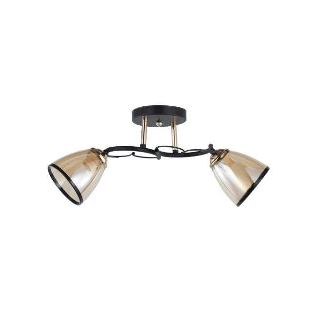 Plafonska lampa MD2740-2 BK+GD