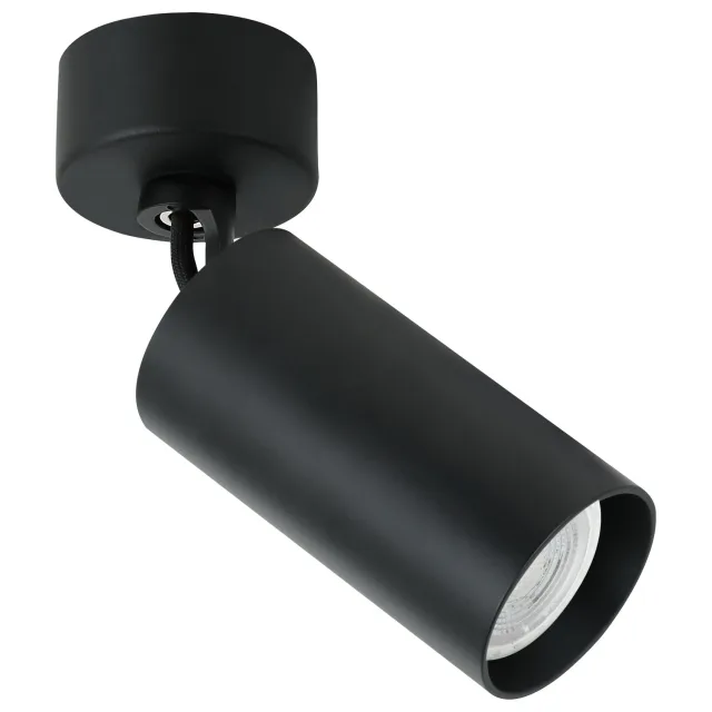 Plafonska lampa AFS112-1C BK