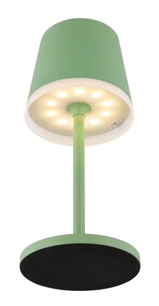 SOLARLEUCHTE METALL BLASSGRÜN, 10XLED — slika 5