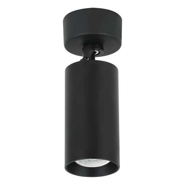 Plafonska lampa AFS112-1C BK — slika 2