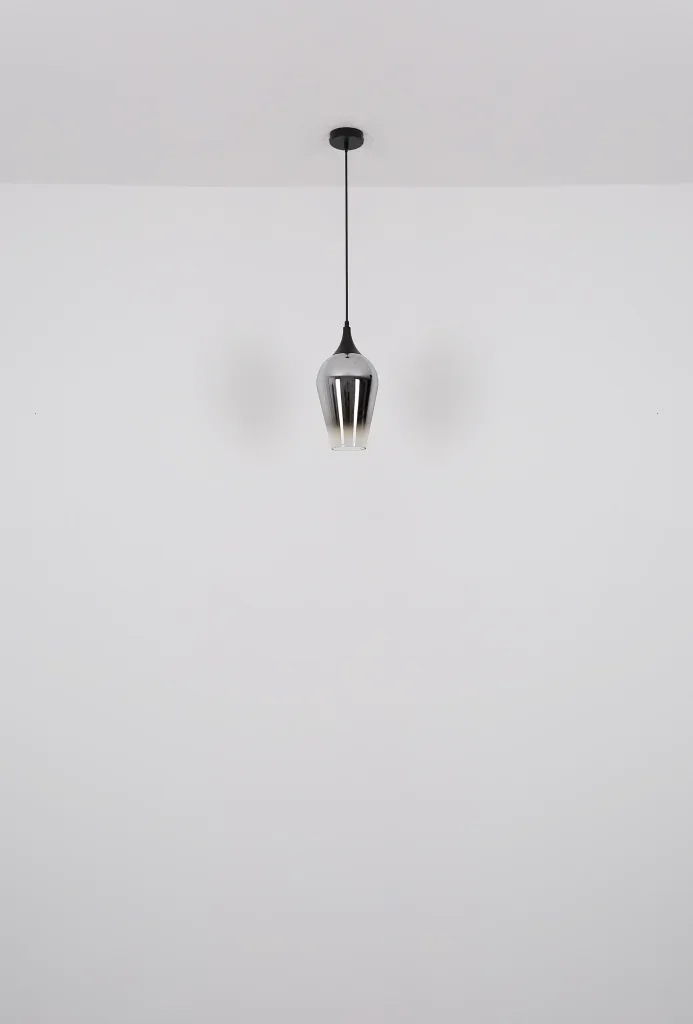 LAVUS — slika 6