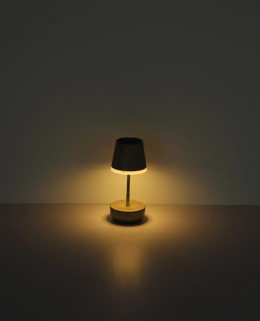 SOLARLEUCHTE KUNSTSTOFF SANDFARBEN, 10XLED — slika 9