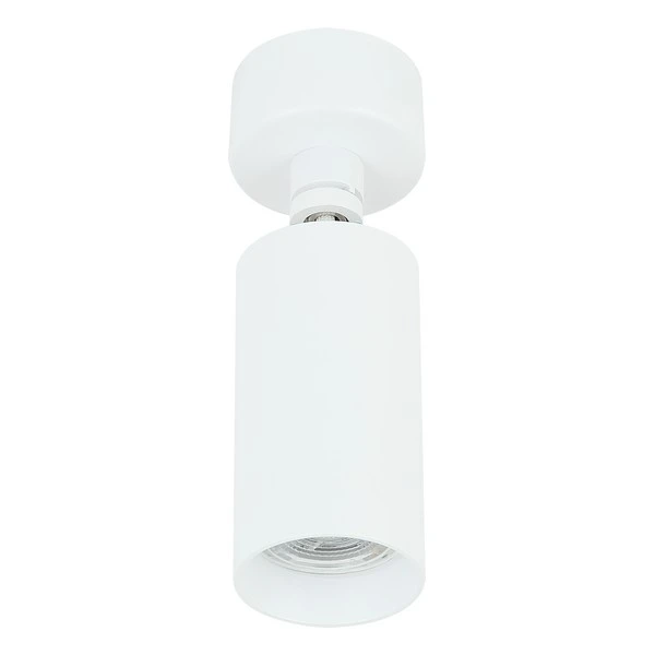 Plafonska lampa AFS112-1C WH — slika 2