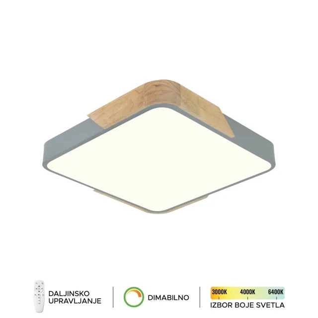 Plafonska lampa F2812-20C SV + DW