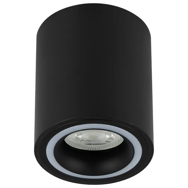 Plafonska lampa AFS116-1C BK