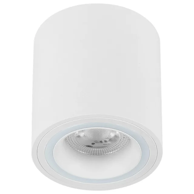 Plafonska lampa AFS116-1C WH