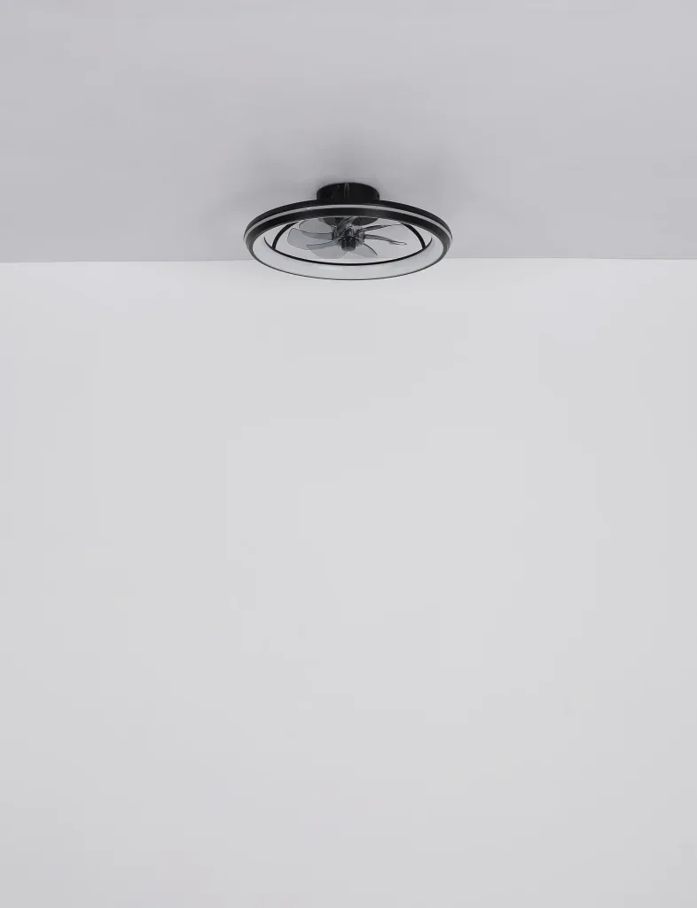 CATALEYA — slika 6