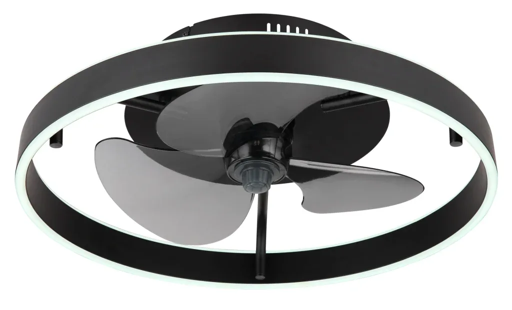 CONWAY — slika 2