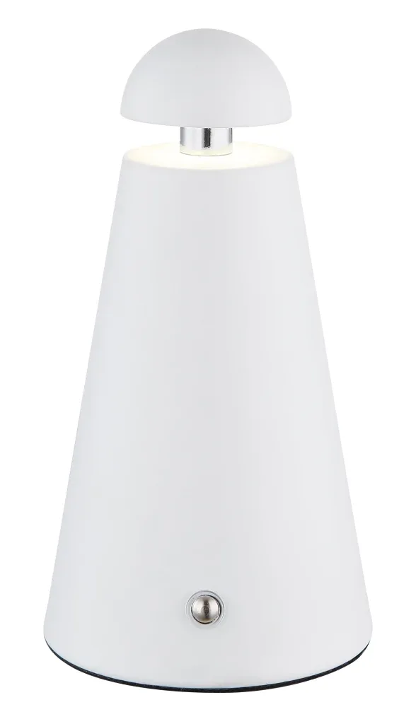 LIVA — slika 6