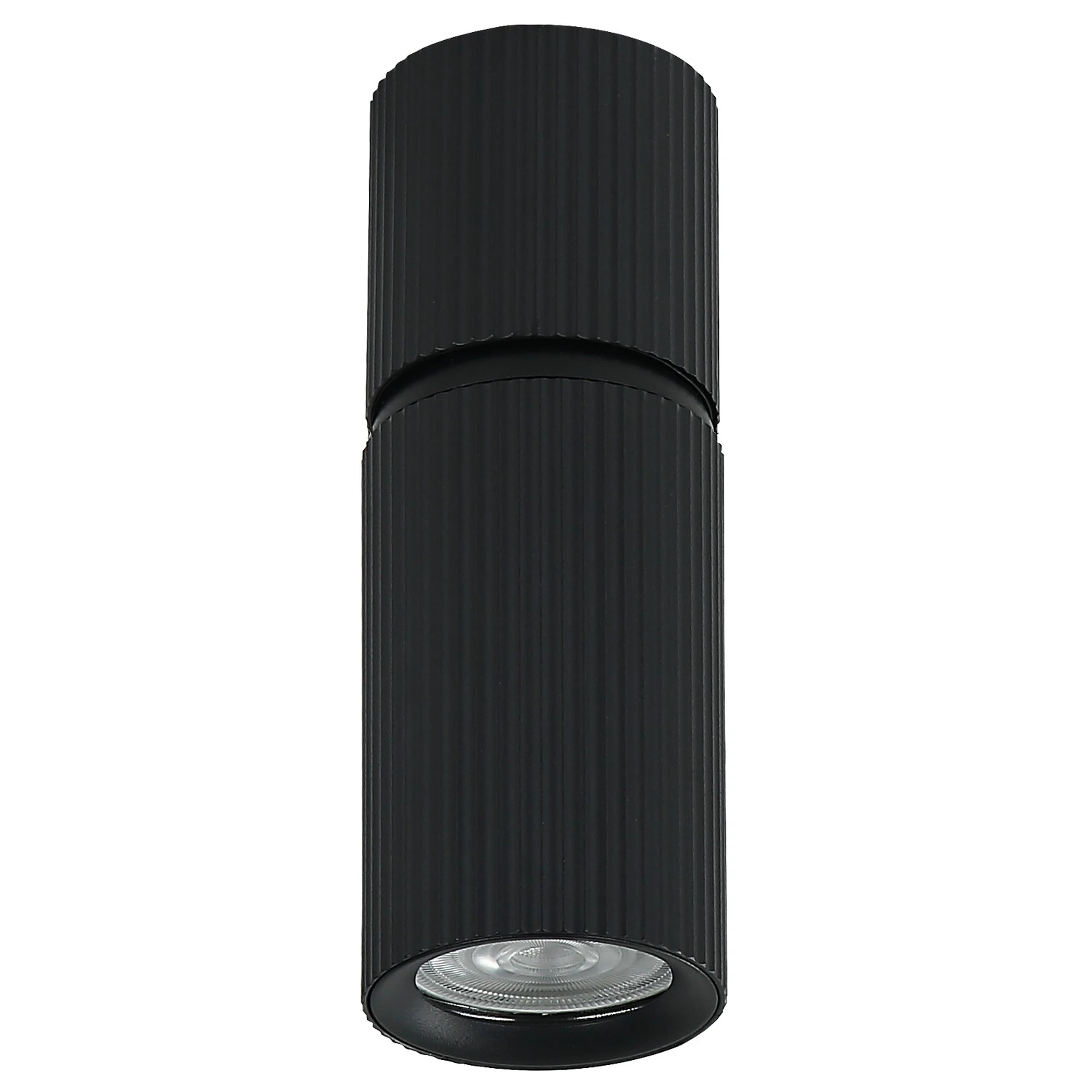 Plafonska lampa AFS117-1C BK — slika 2