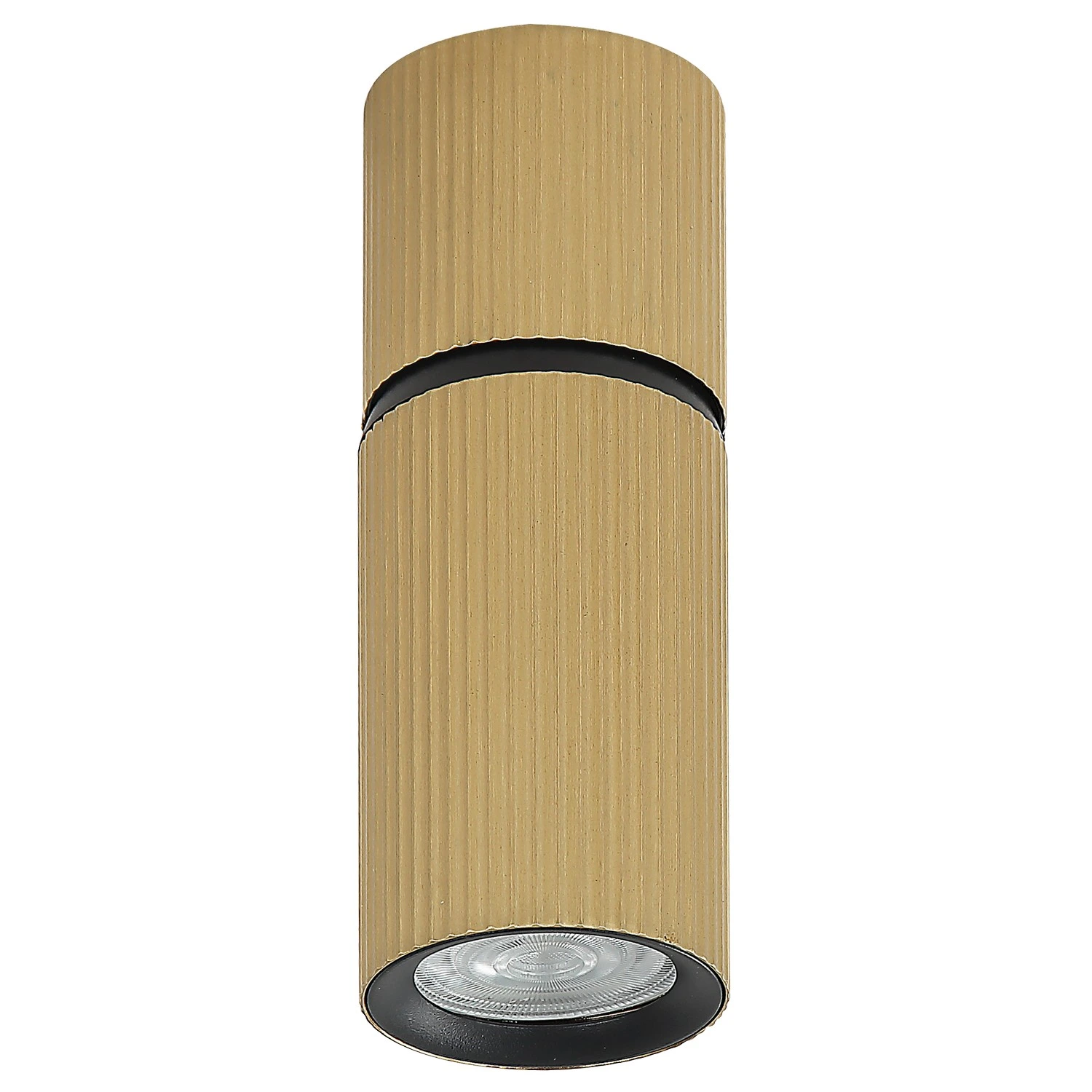Plafonska lampa AFS117-1C SG — slika 2
