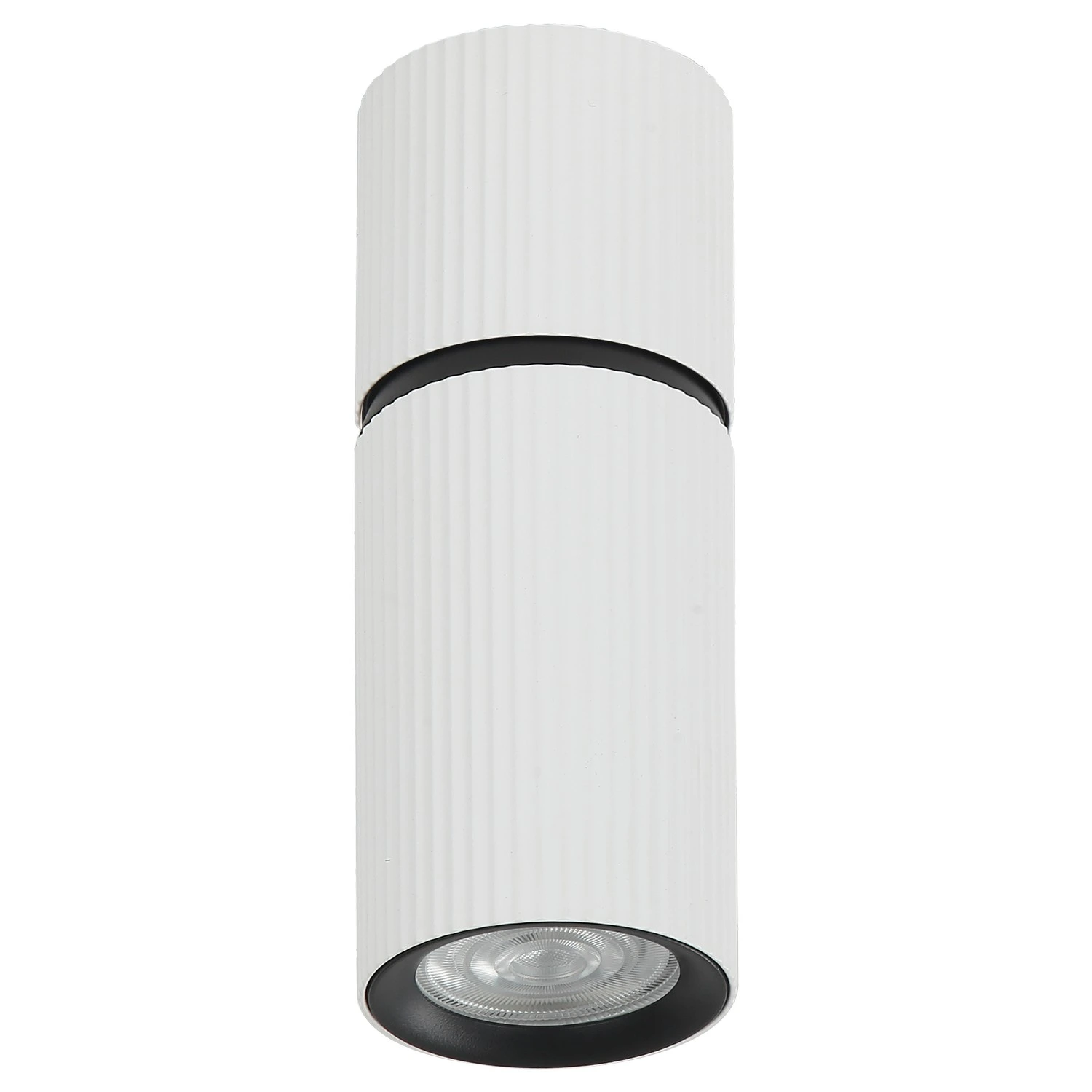 Plafonska lampa AFS117-1C WH — slika 2