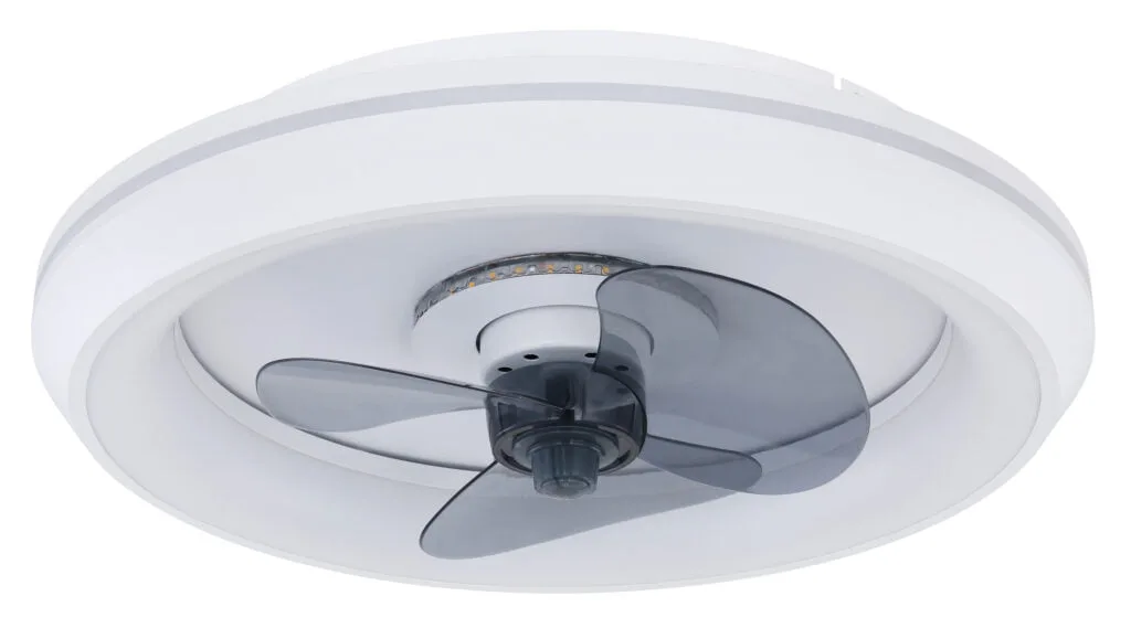 JOEY — slika 2