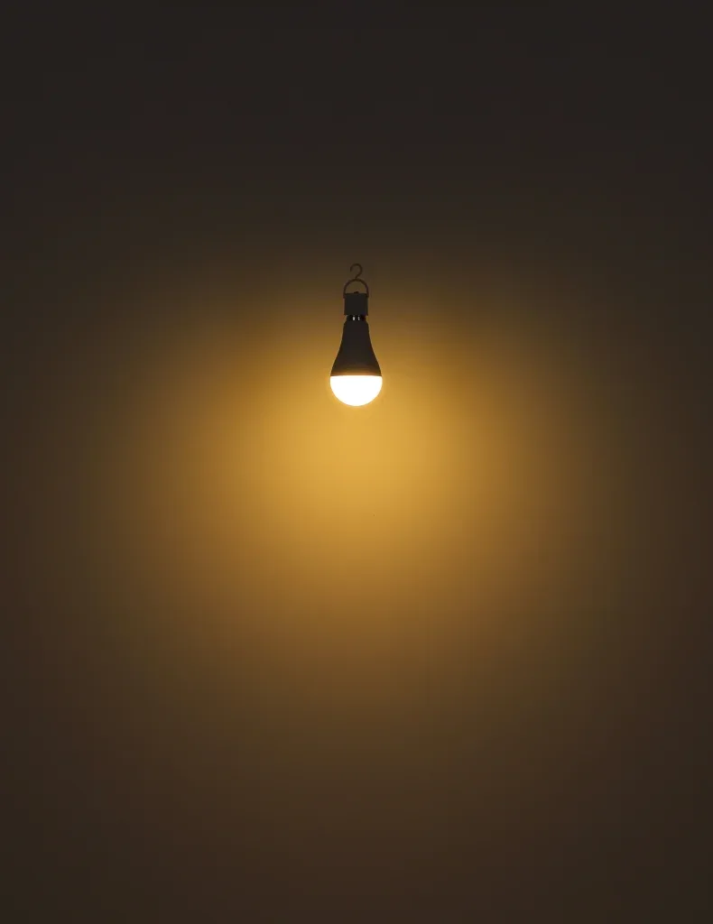 LED LEUCHTMITTEL KUNSTSTOFF OPAL, 1XE27 LED — slika 5