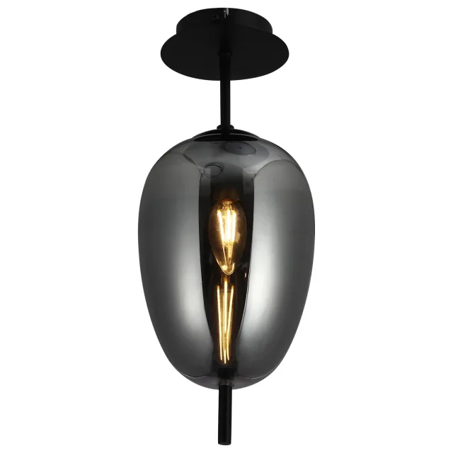 Plafonska lampa F4014-1C BK+SM