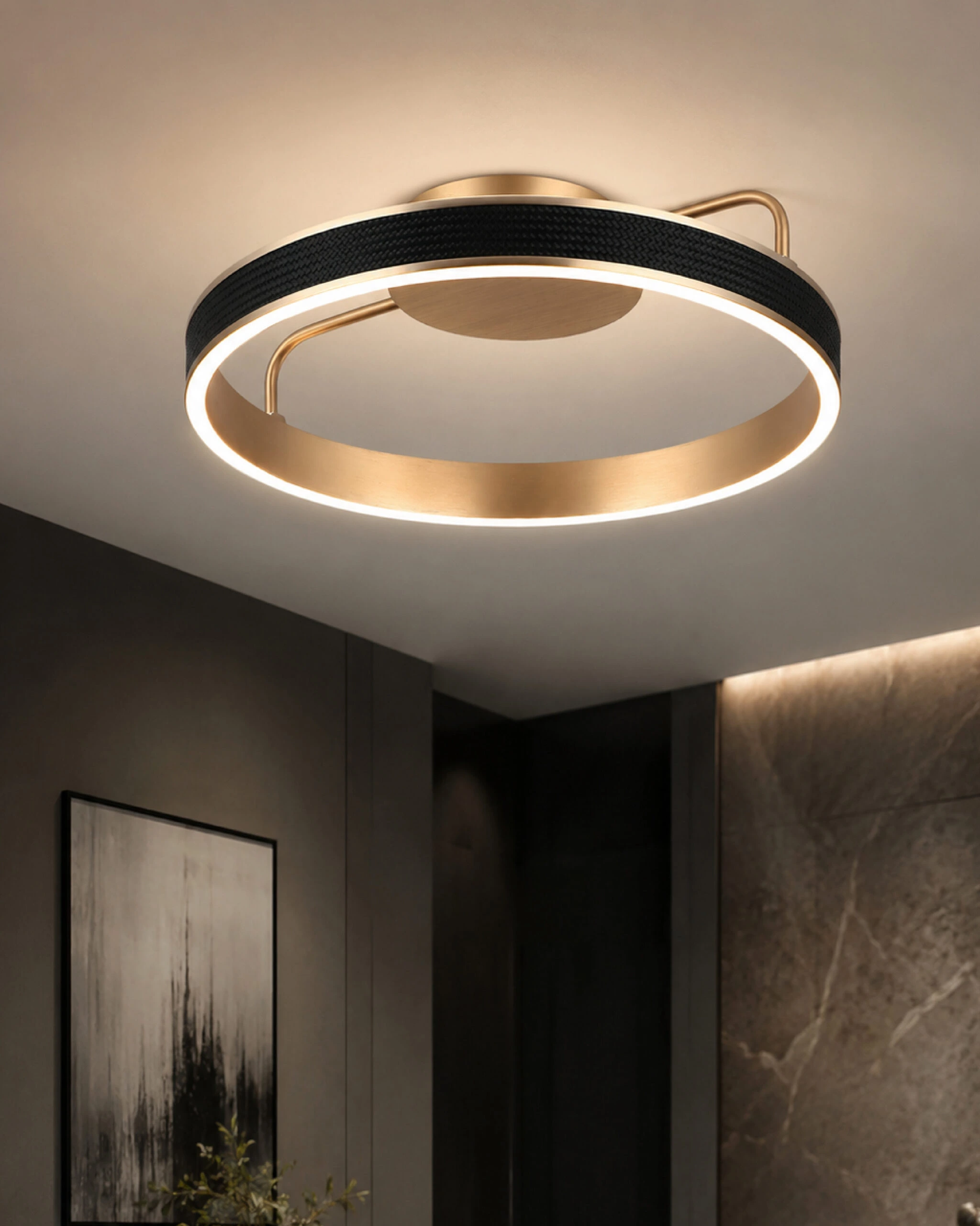 LED plafonska lampa F2088-38C BK+RG CCT — slika 2