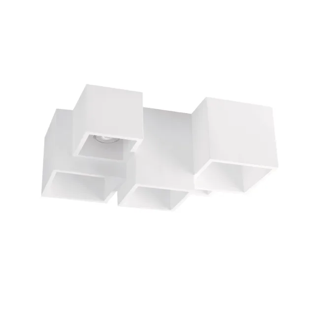 Plafonska lampa F1001-5C