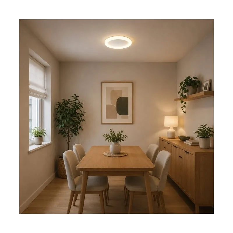 VESTA 611 PLAFONSKA SVETILJKA 20W 3000K BELA — slika 2