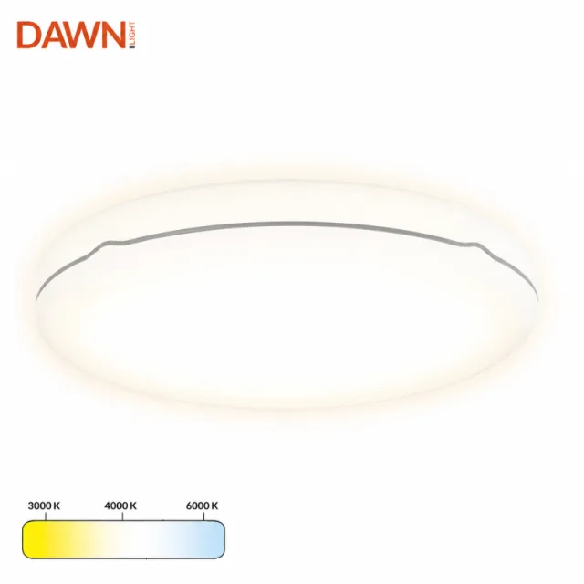 LED PLAFONJERA DCL101 24W 3000/4000/6000K IP54