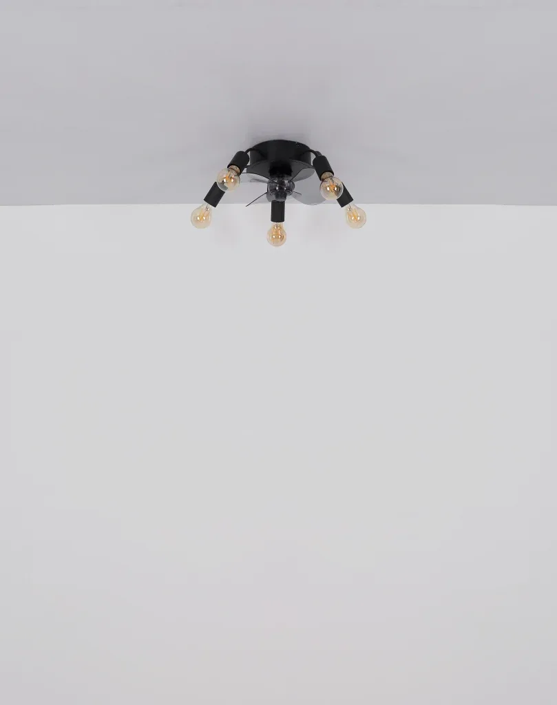 ALISHA — slika 6