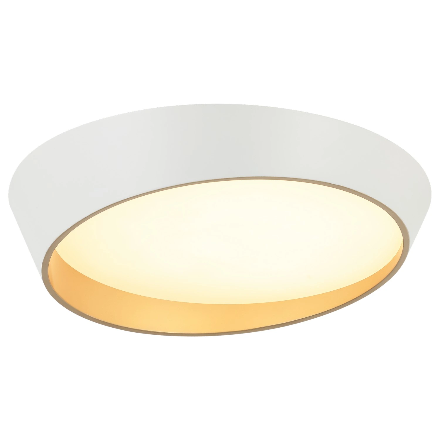 LED plafonska lampa F2098-75C WH+SG — slika 2