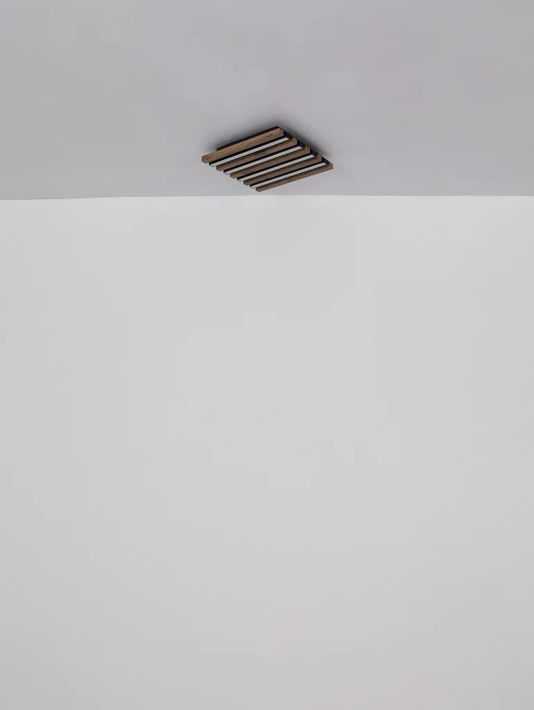 HAYDEN — slika 7